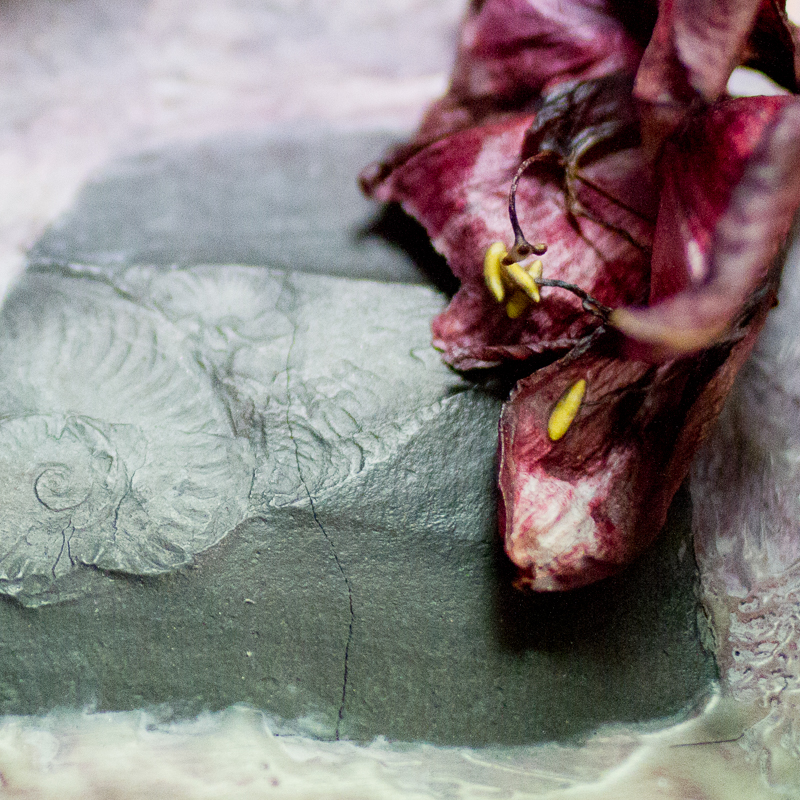 versteinert und konserviert