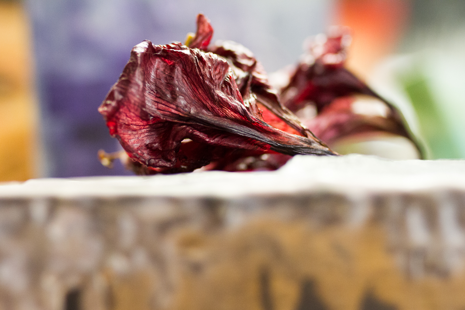 in Wachs getauchte Blüte